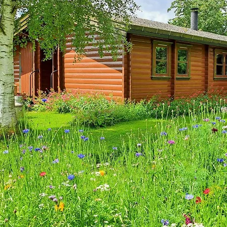 Log House In With Vintage Charm